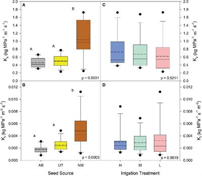 Drought-Conditioning of Quaking Aspen (Populus tremuloides Michx.) Seedlings During Nursery Production Modifies Seedling Anatomy and Physiology